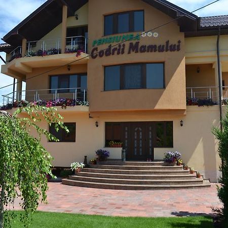 Pensiunea Codrii Mamului Lungesti 外观 照片