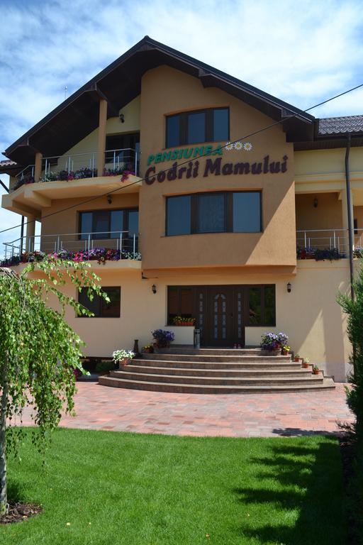 Pensiunea Codrii Mamului Lungesti 外观 照片